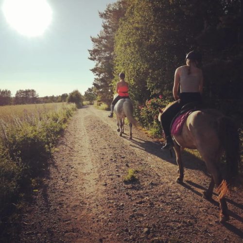 Kotitalli Hersir ratsastuselämys